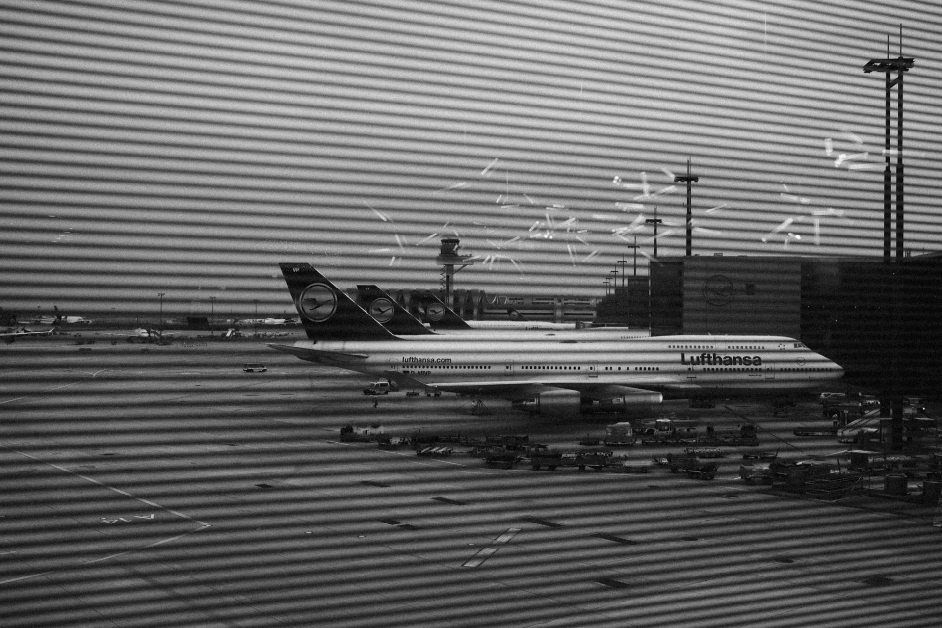 DSF7847.jpg